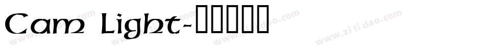 Cam Light字体转换